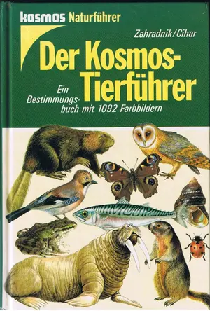 Allgemeines Sachbuch