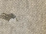 Vorschaubild 4 von Herren Pullover 1/4 Zip Pima Cotton Grau Gr. S