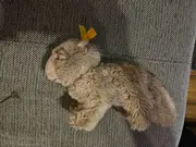 Vorschaubild 2 von Plüschtier Hase Kuscheltier Beige Knopf im Ohr 17 cm