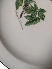 Vorschaubild 3 von Unterteller 20cm Porzellan Klassisch Weiß Blumenmuster