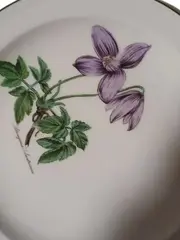 Vorschaubild 2 von Unterteller 20cm Porzellan Klassisch Weiß Blumenmuster