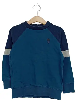 NEXT Pullover