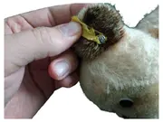 Vorschaubild 4 von Hund Kuscheltier Plüschtier Beige Charmant 20cm Welpe