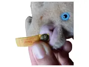 Vorschaubild 3 von Stofftier Schwein Kuscheltier Plüschtier Beige 11cm Sammler