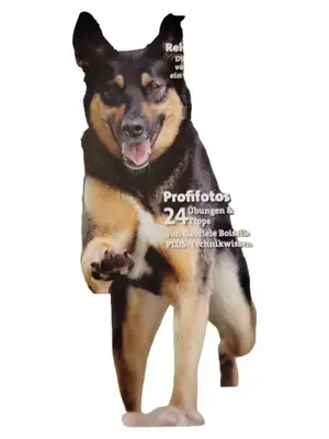 DER HUND Zeitschrift