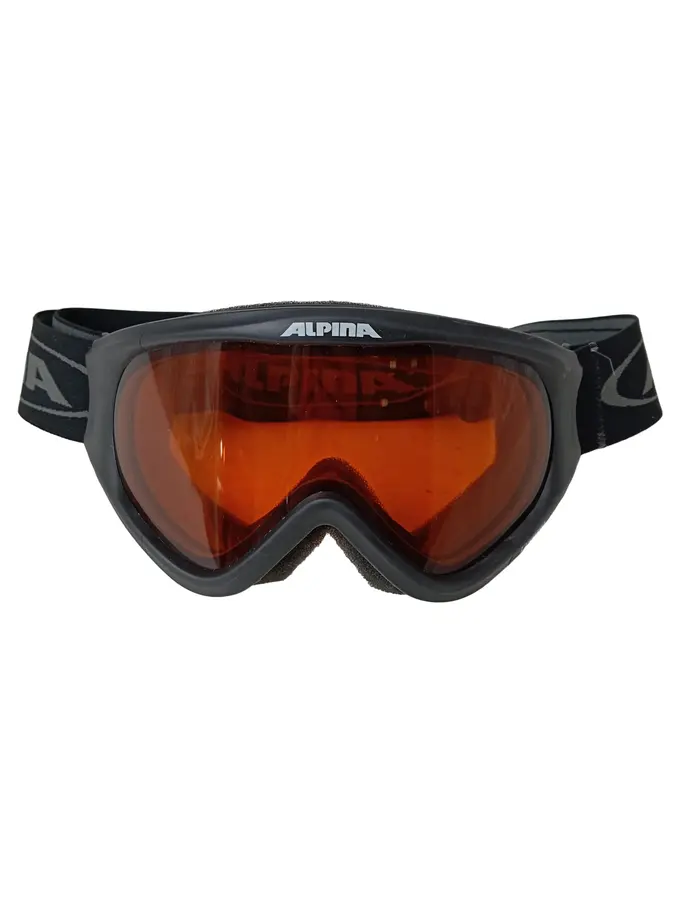 ALPINA Skibrille Bild 1
