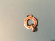 Vorschaubild THOMAS SABO Charm Anhänger 2