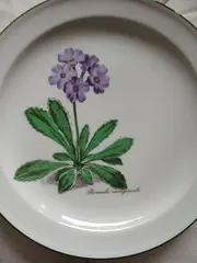 Vorschaubild 1 von Bavaria Wandteller Primula Porzellan 20cm Blumen Klassisch Weiß