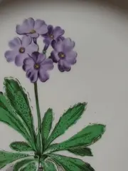 Vorschaubild 2 von Bavaria Wandteller Primula Porzellan 20cm Blumen Klassisch Weiß