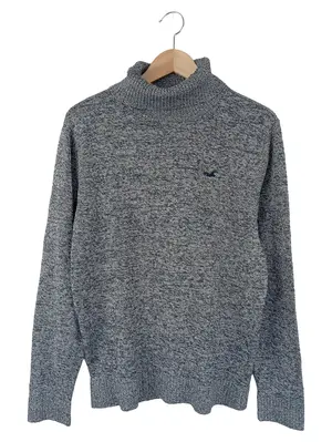 HOLLISTER Pullover