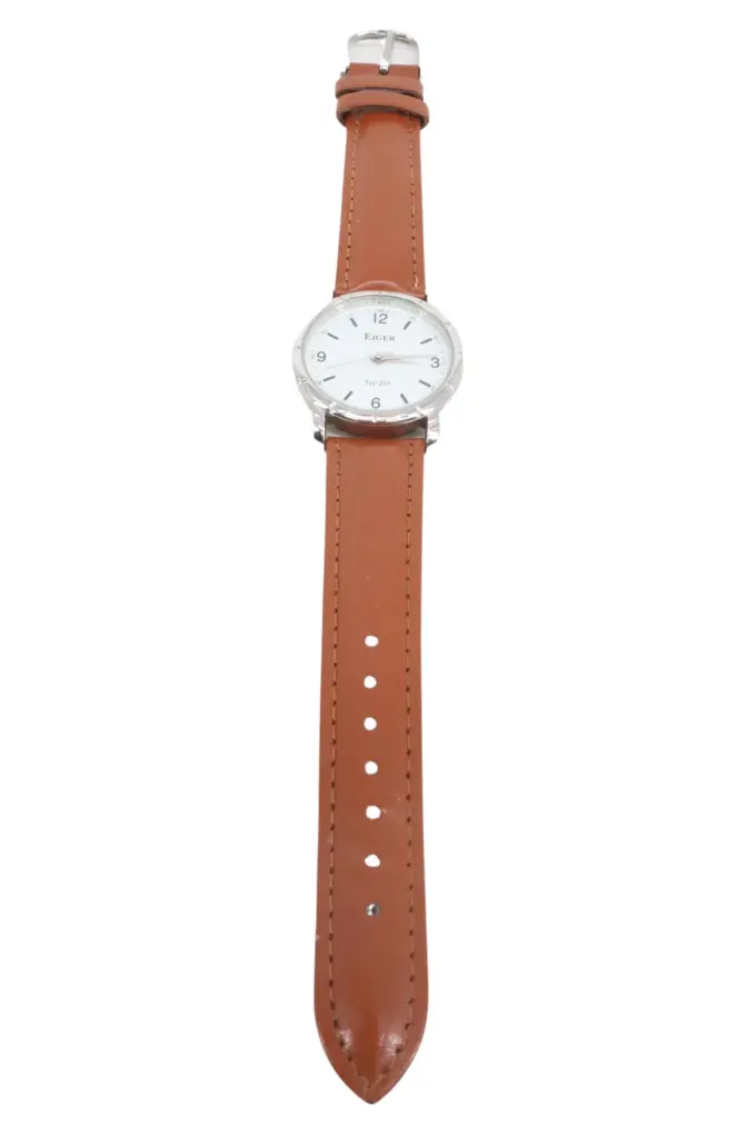 EIGER Armbanduhr Bild 1