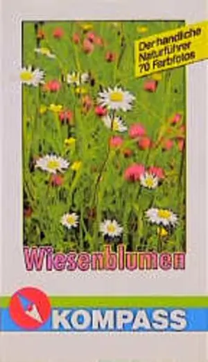 Allgemeines Sachbuch