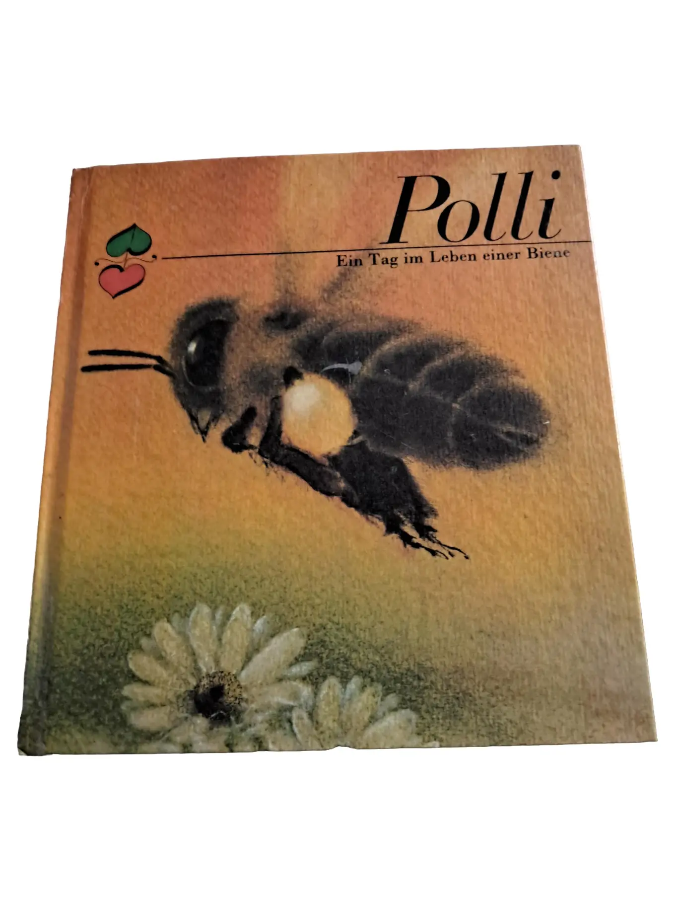 Kinderbuch Sachbuch Bienen Polli Natur Tiere Pflanzen Bestäubung Hardcover