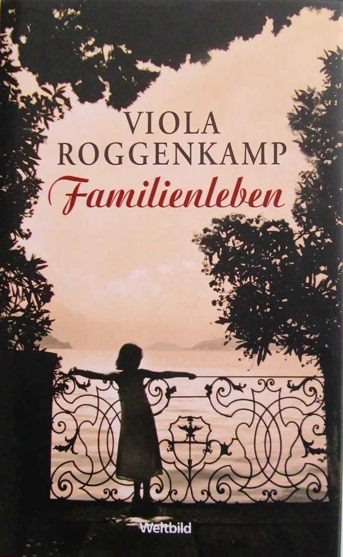 Gesellschaftsroman Bild 1