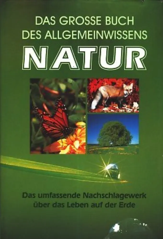 Allgemeines Sachbuch Bild 1