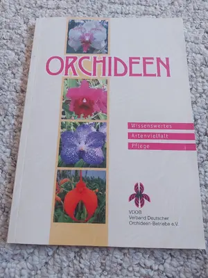 Allgemeines Sachbuch