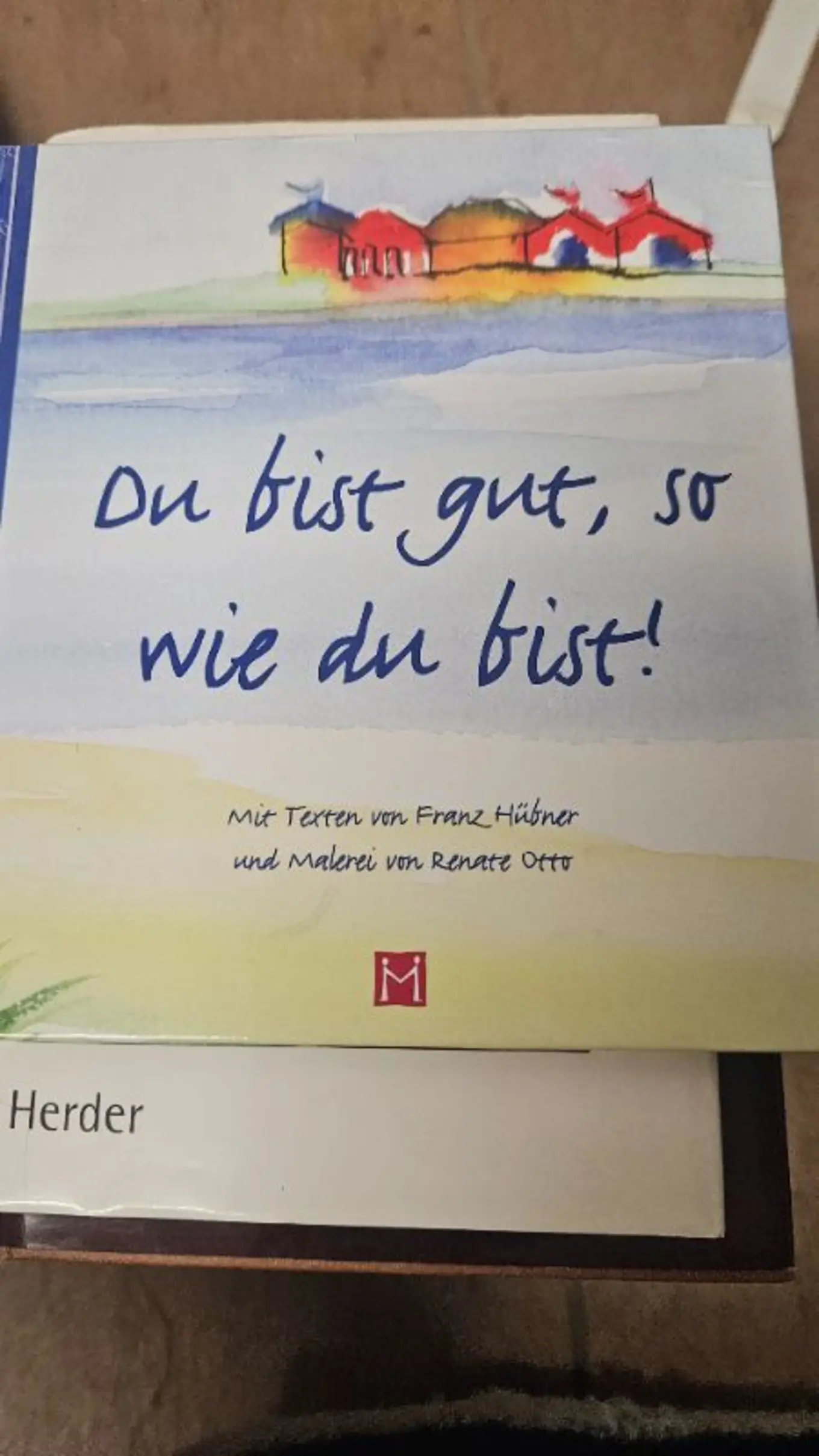 Du bist gut, so wie du bist! Franz Hübner Renate Otto Geschenkbuch Hardcover