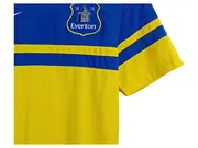 Vorschaubild 3 von Everton FC Auswärts Trikot 2013/14 Herren Gr. S Mehrfarbig Gestreift