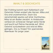 Vorschaubild 3 von Ostwind Auf der Suche nach Morgen Lea Schmidbauer Kinderbuch Taschenbuch Pferde