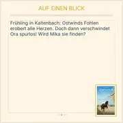 Vorschaubild 2 von Ostwind Auf der Suche nach Morgen Lea Schmidbauer Kinderbuch Taschenbuch Pferde