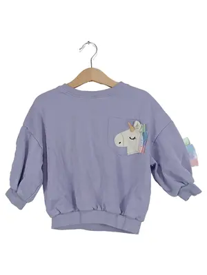 NEXT Pullover