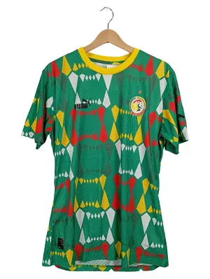 PUMA Fußball Trikot