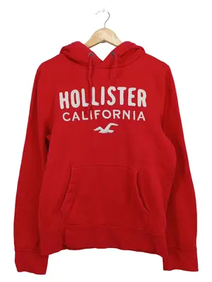 HOLLISTER Kapuzenpullover