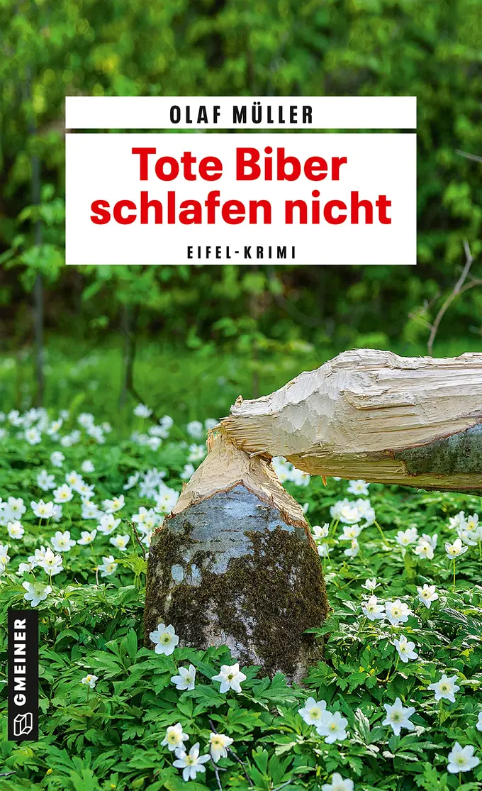 Kriminalroman Bild 1