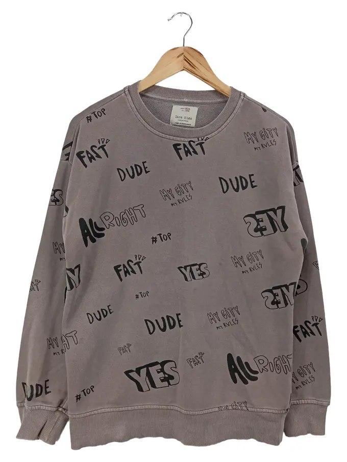 ZARA Sweatshirt Bild 1