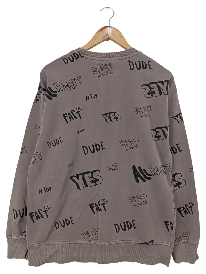 ZARA Sweatshirt Bild 2