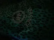 Vorschaubild 3 von Kleidersack Tiermotive Mehrfarbig Elegant L:119cm B:58cm