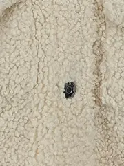 Vorschaubild 5 von Kinder Teddy Fleece Jacke mit Kapuze Gr. 134 Beige