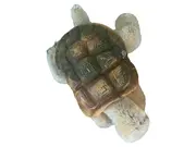 Vorschaubild 1 von Schildkröte Kuscheltier Plüschtier Klassisch Mehrfarbig 14cm