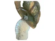 Vorschaubild 4 von Schildkröte Kuscheltier Plüschtier Klassisch Mehrfarbig 14cm