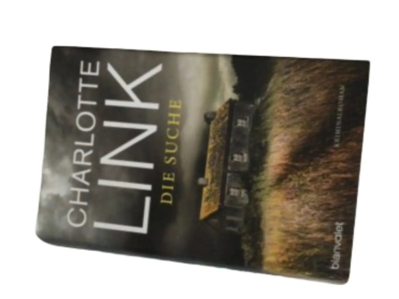 Charlotte Link Die Suche Taschenbuch Krimi Psychothriller Bestseller Deutsch