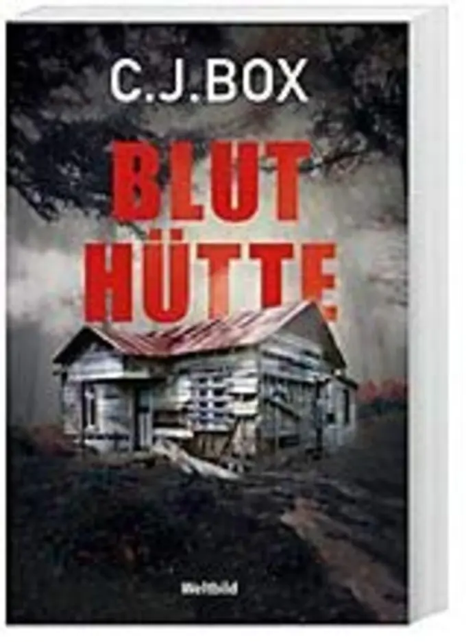 Thrillerbuch Bild 1