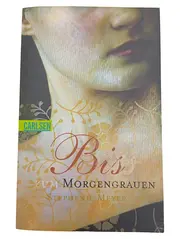Vorschaubild Liebesfilm 1