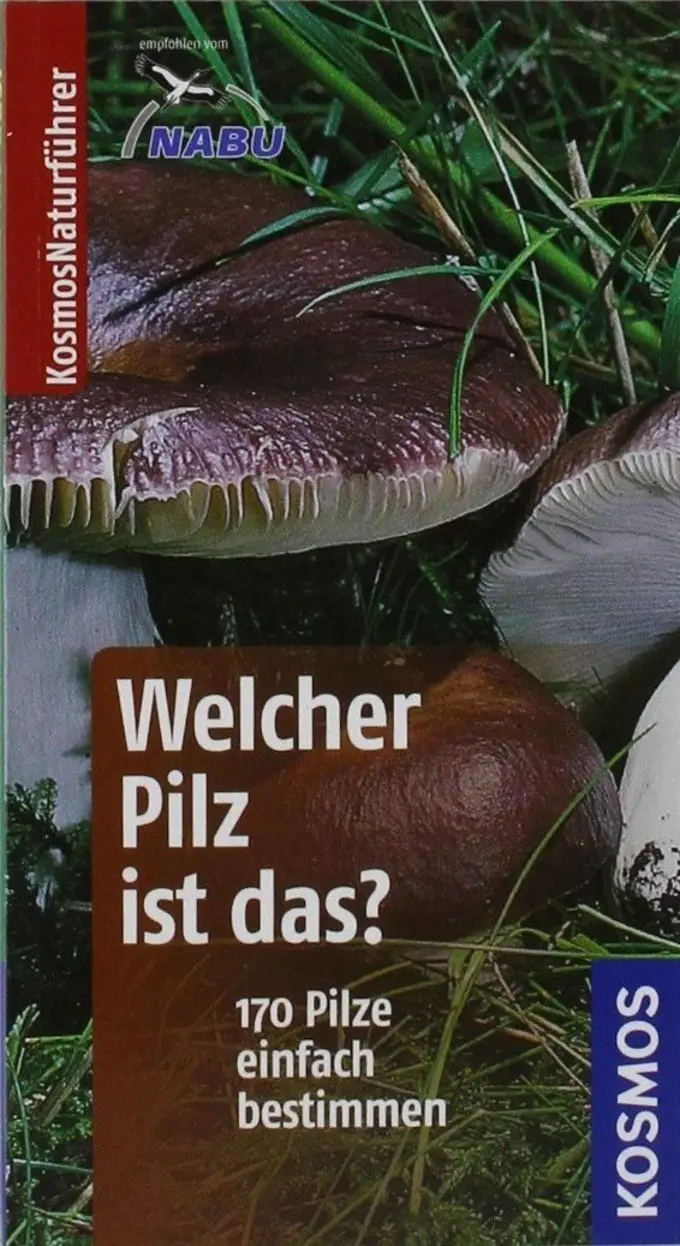 Allgemeines Sachbuch Bild 1