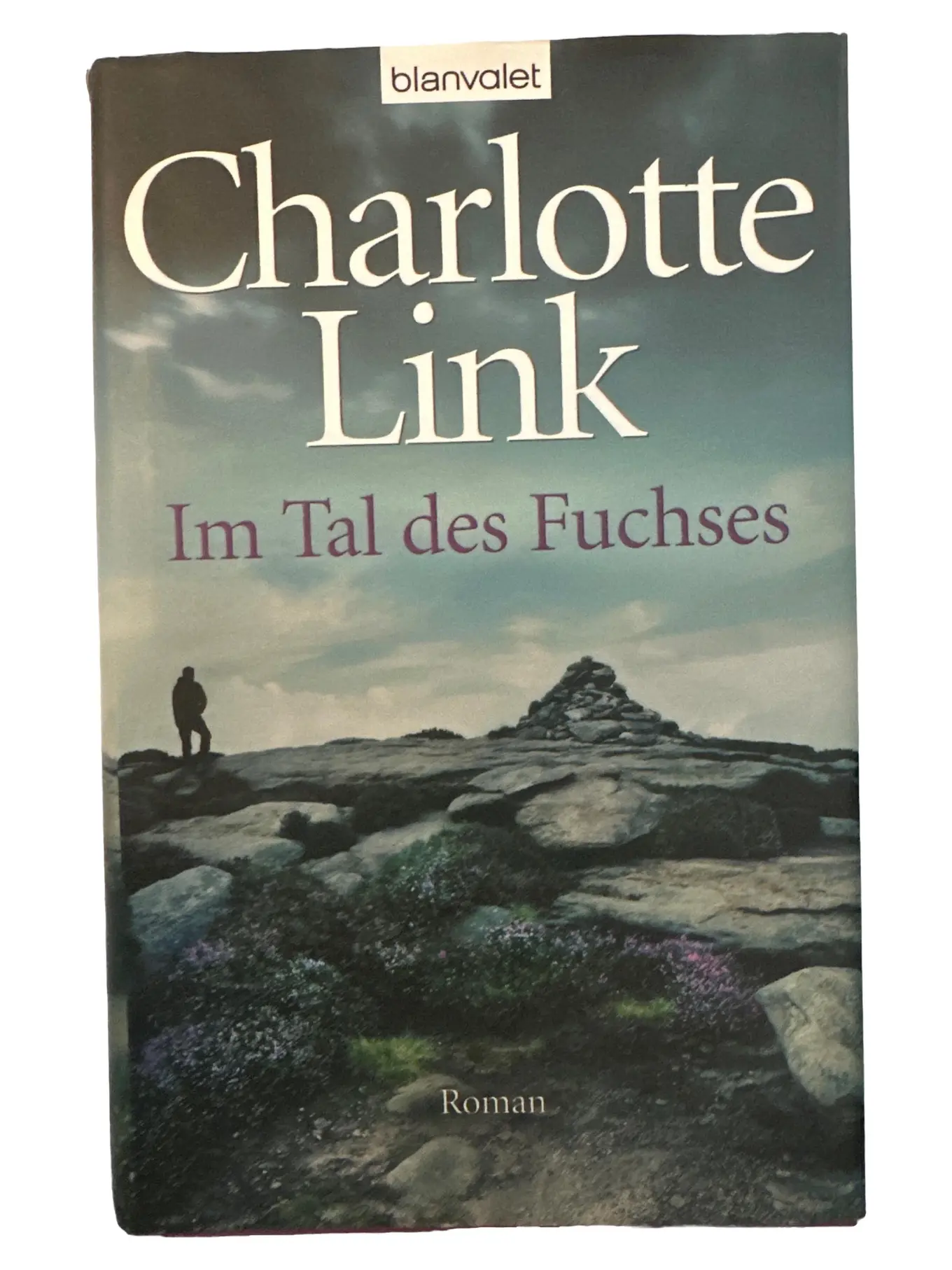 Charlotte Link Im Tal des Fuchses Abenteuerroman Bestseller Deutsch Taschenbuch