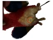 Vorschaubild 2 von Ara Papagei Lora Kuscheltier Plüschtier Mehrfarbig 14cm