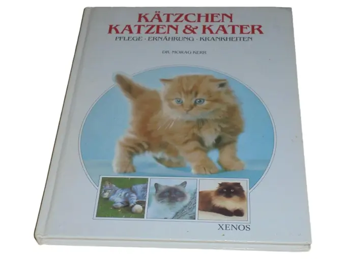 Allgemeines Sachbuch Bild 1