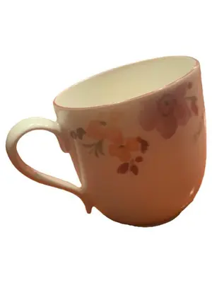 VILLEROY & BOCH Tasse