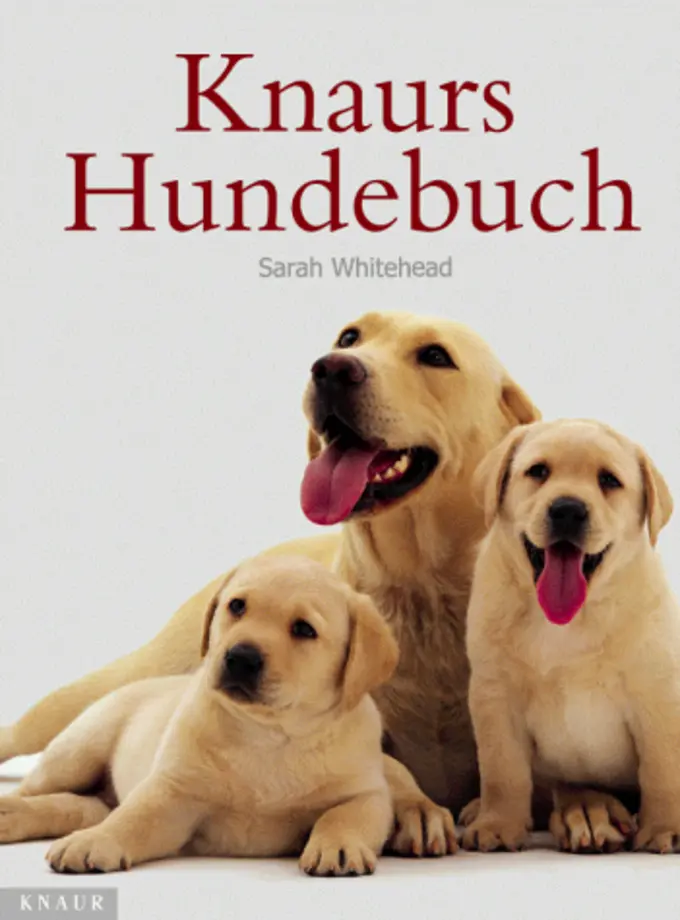 Hobbybuch Bild 1