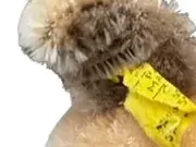 Vorschaubild 3 von Mopsy Hund Kuscheltier Plüschtier Braun 13 cm