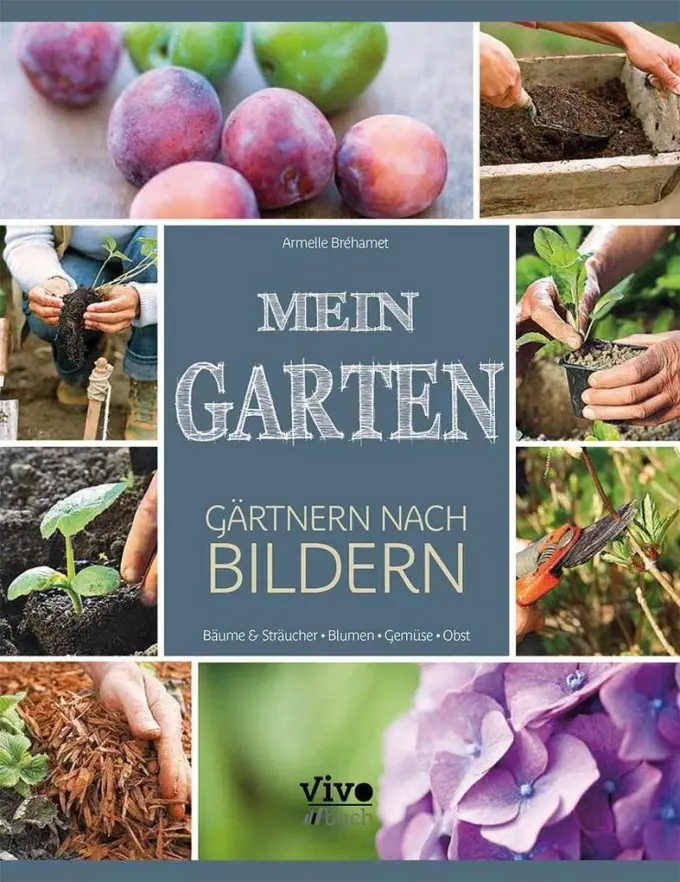 Hobbybuch Bild 1