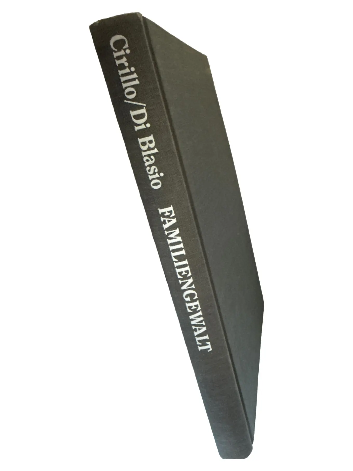 Fachbuch Psychologie Klinische Psychotherapie Sozialpsychologie Hardcover