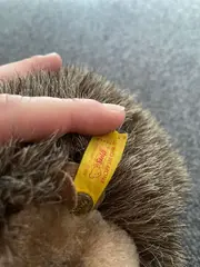 Vorschaubild 2 von Igel Stofftier Kuscheltier Baby Braun 14cm Plüschtier Tier