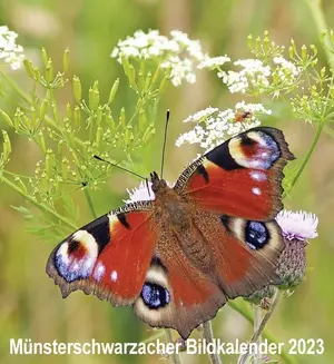 VIER TUERME GMBH Dia Magazin