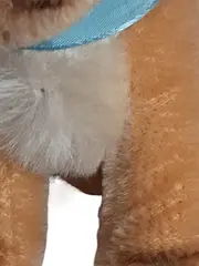 Vorschaubild 4 von Kuscheltier Teddybär Hund Klassisch Braun 13cm