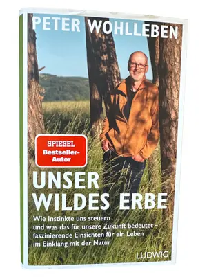 Allgemeines Sachbuch